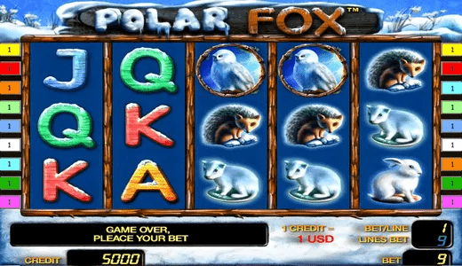 Polar Fox
